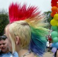 /album/fotogaleria/rainbow-mohawk-jpg/